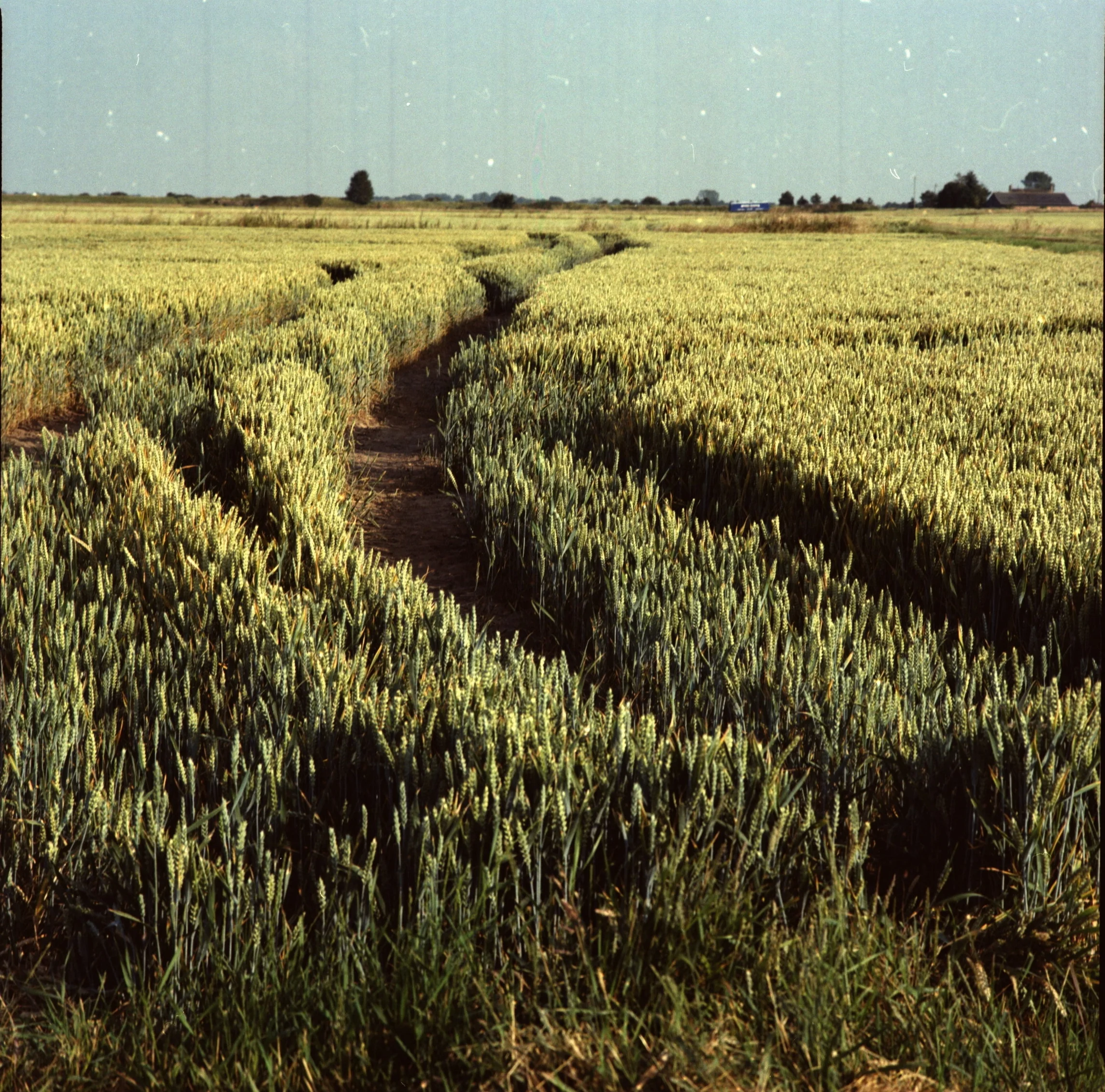 The agricultural side of the Wash Tidal Barrier.jpg