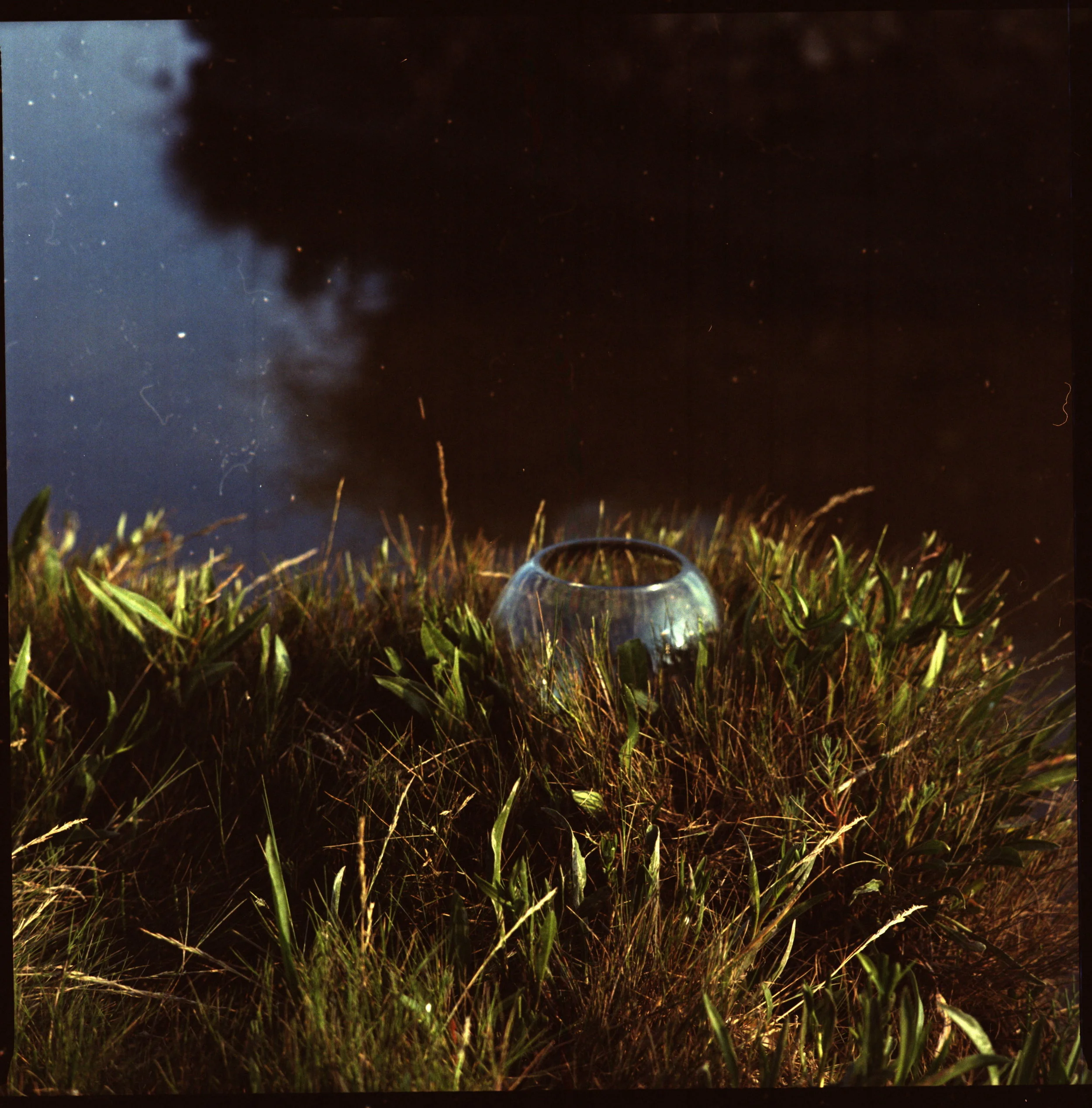 Fishbowl1.jpg
