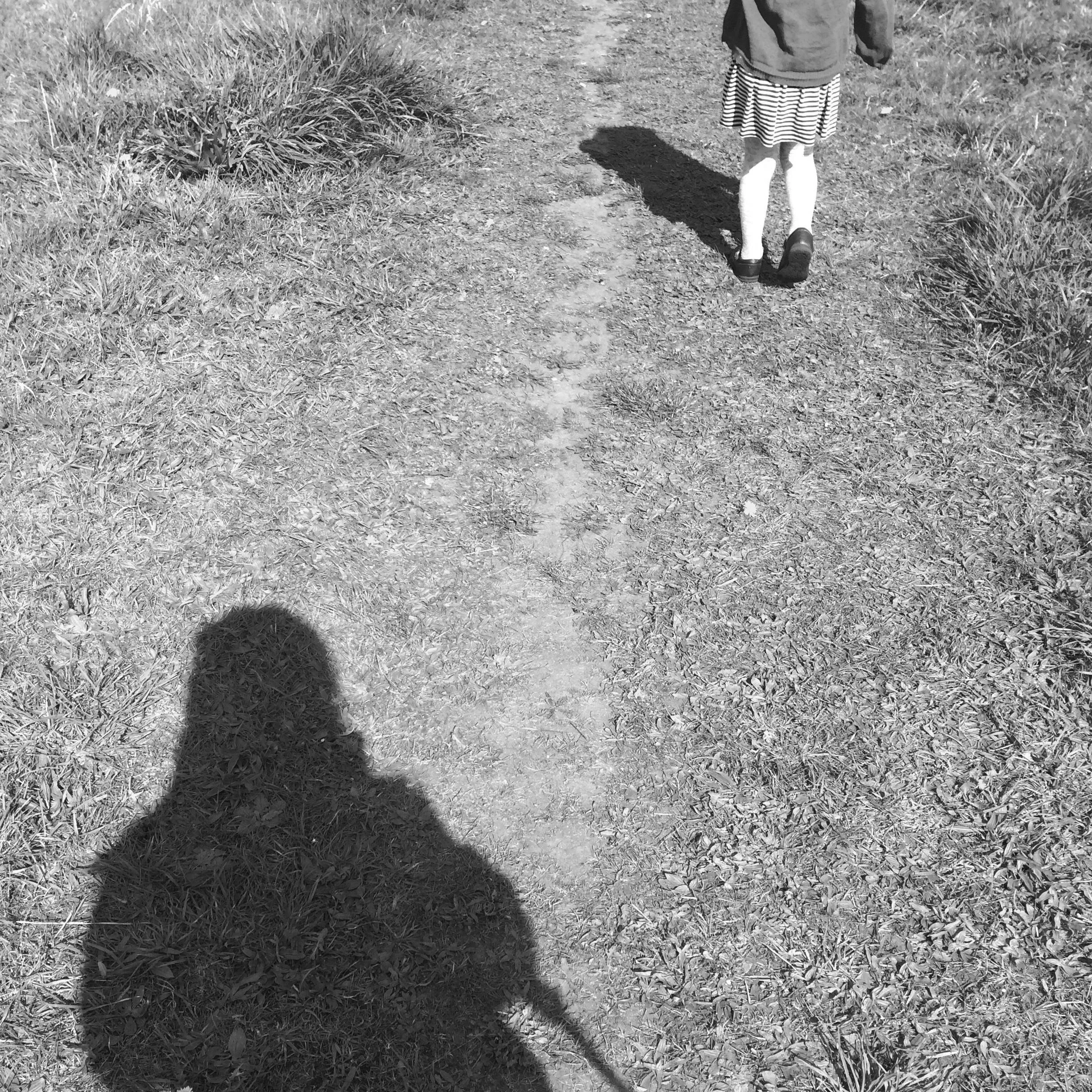 paths15.jpg