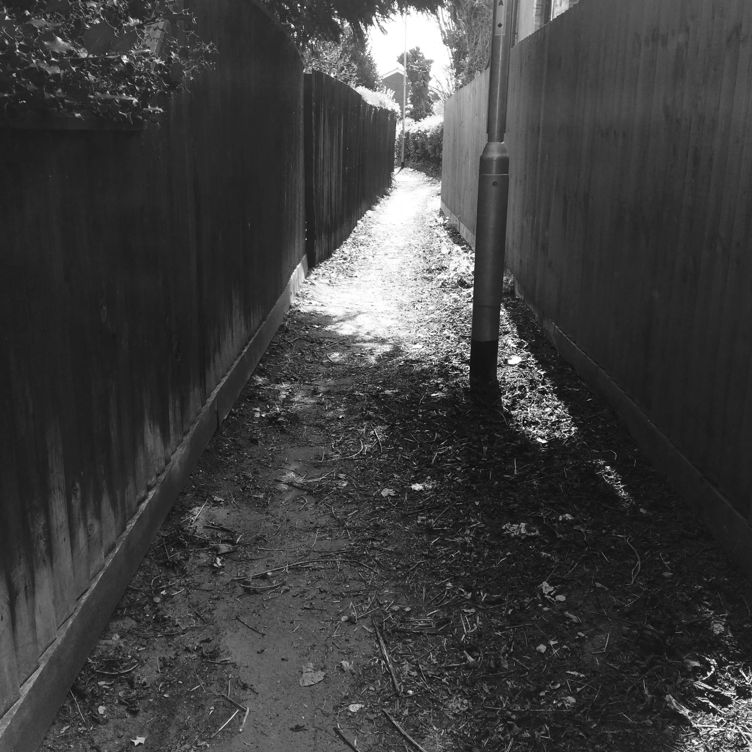 paths5.jpg