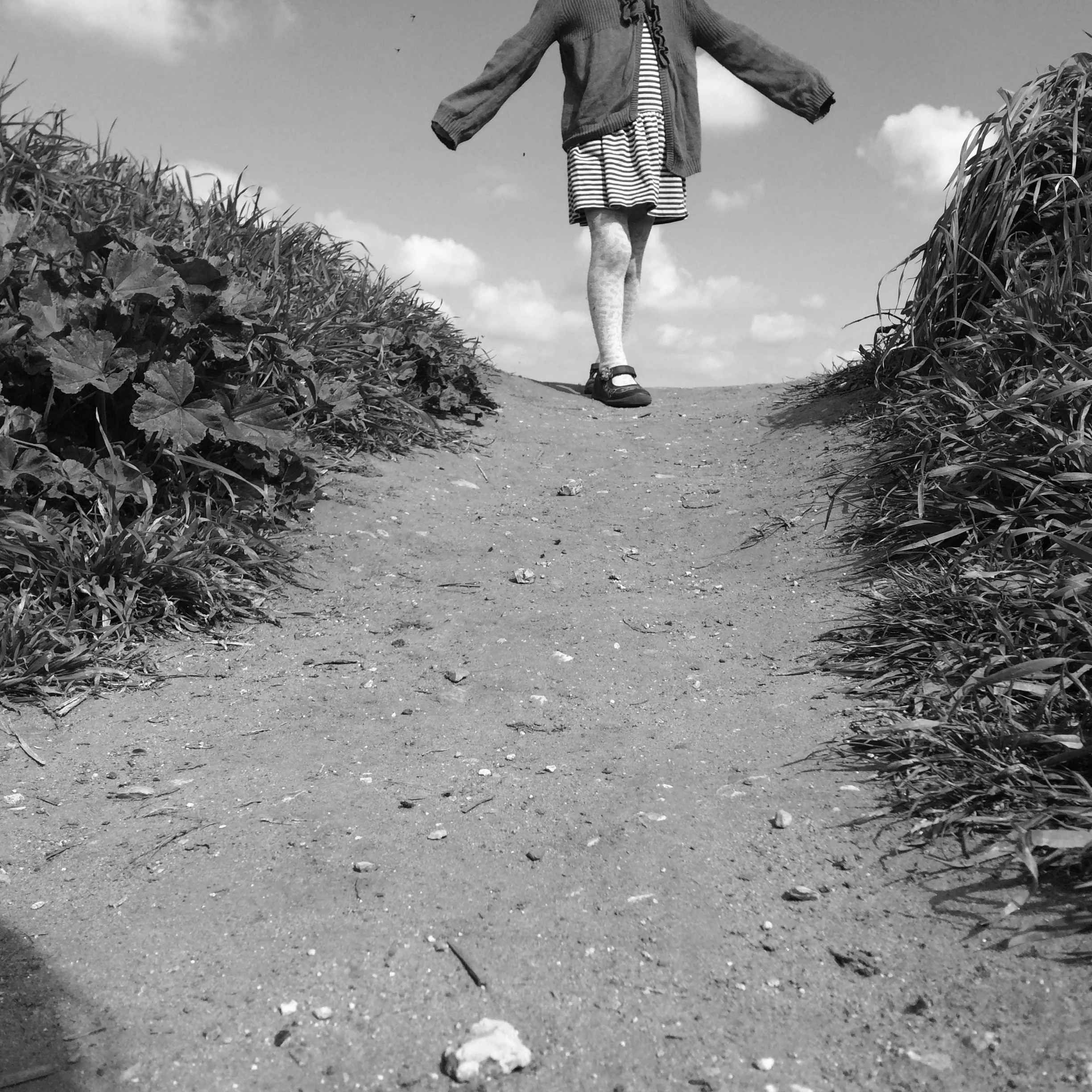 paths9.jpg