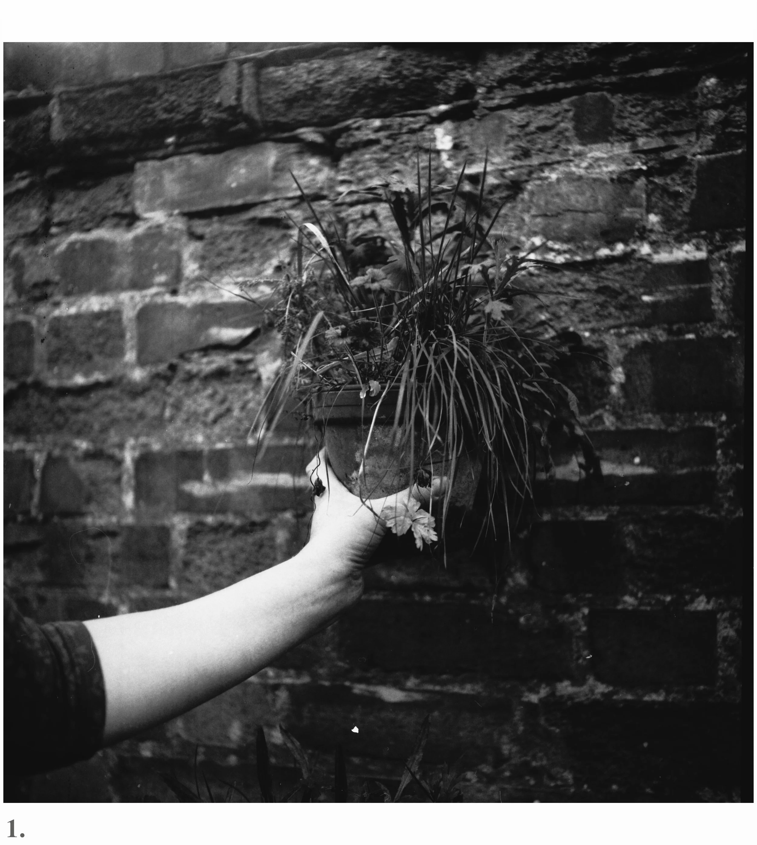 Weeds church2.jpg