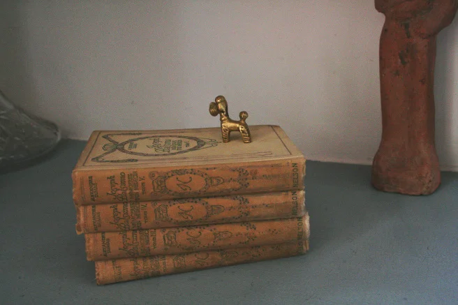 The Shelf Gallery.jpeg