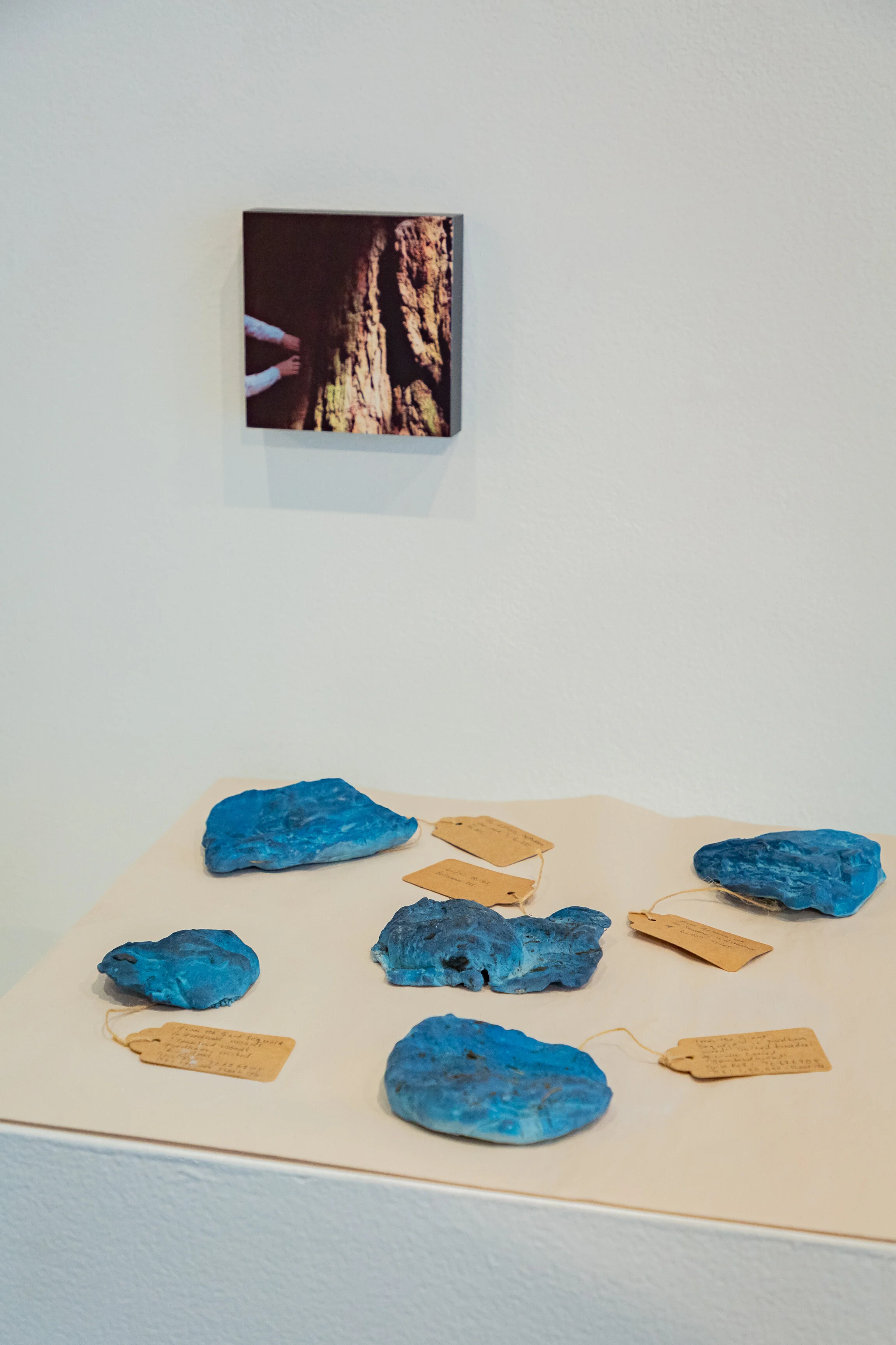 nwp-20210524-soil-gallery-always-on-0011.jpg