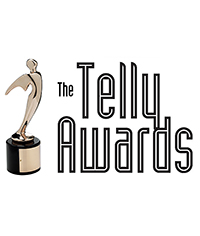 36. Telly Awards Projekt: Dina Foxx - Tödlicher Kontakt Kategorie: Non-Broadcast Productions Kunde: ZDF Jahr: 2015
