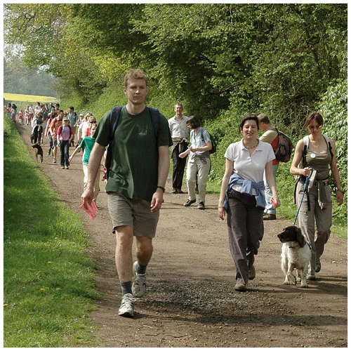 Walk+Flyer+Image+Bottom.jpg