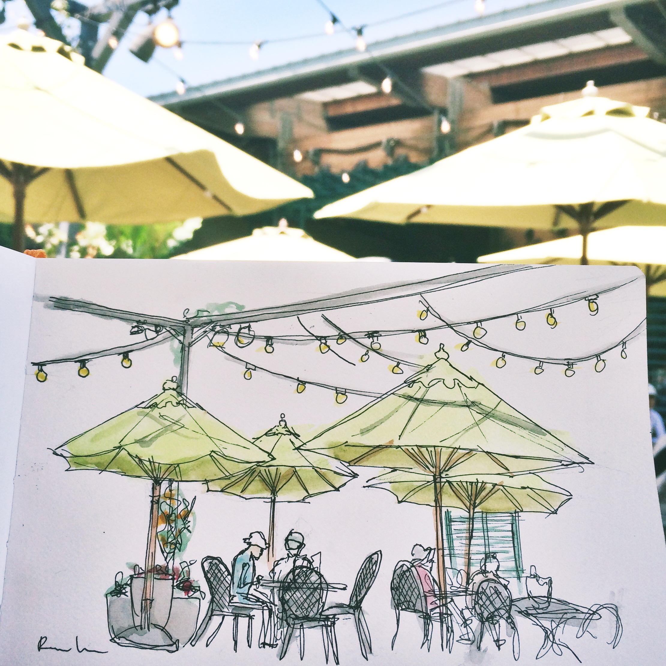 PINE TREE CAFE, NEW YORK BOTANICAL GARDEN