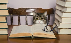 books-author.jpg