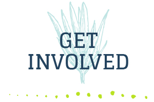 Get Involved