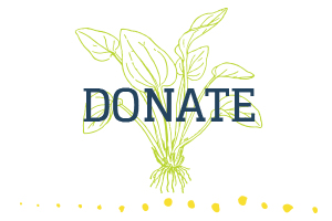 Give Back