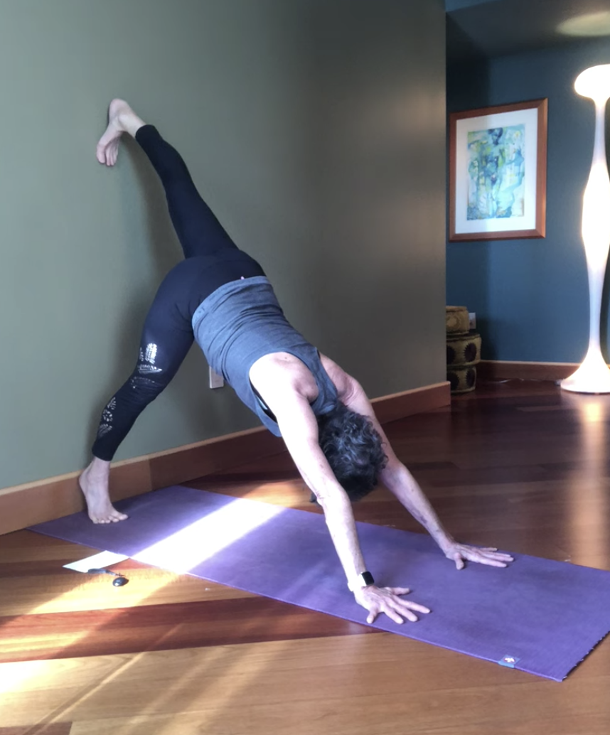 Yogatect_Handstand on the Wall