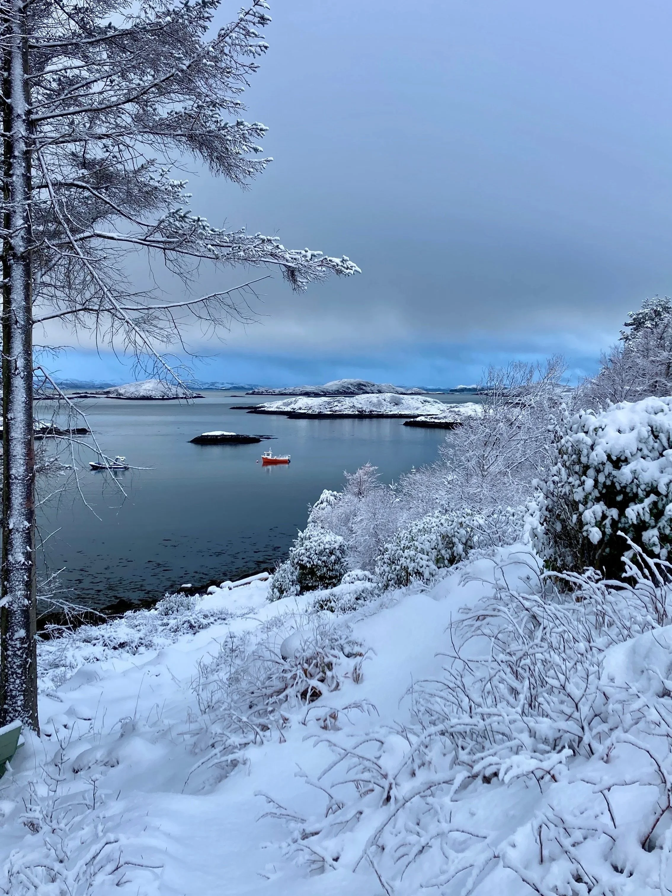 Looking across the hotel's garden to the island on the bay after a snow fall. Sea is calm, blue tint pervades the scene except for a day fishing boat, bright orange.
