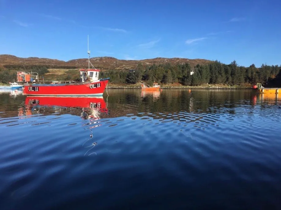 Hotel from bay.jpg
