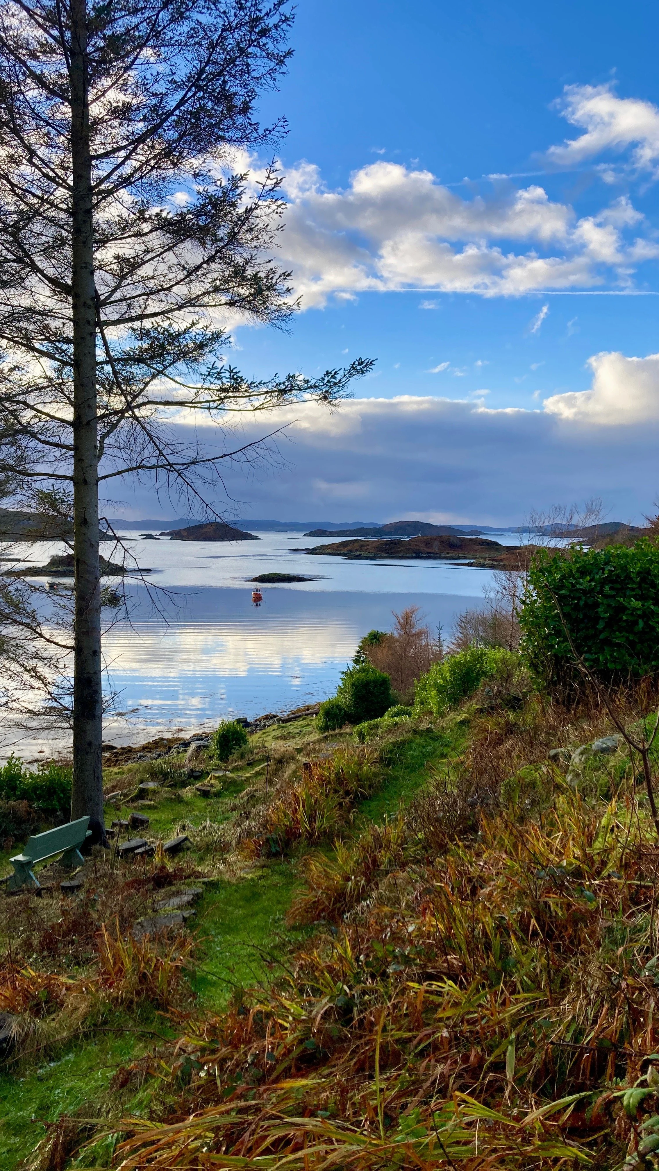 Under St Andrew’s Cross