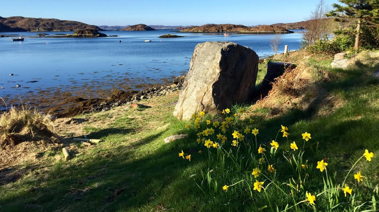 Winter Loosens Its Grip