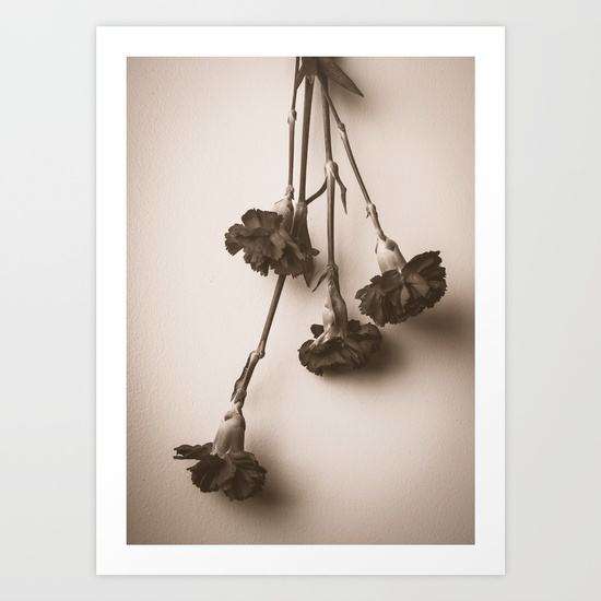 carnation-prints.jpg