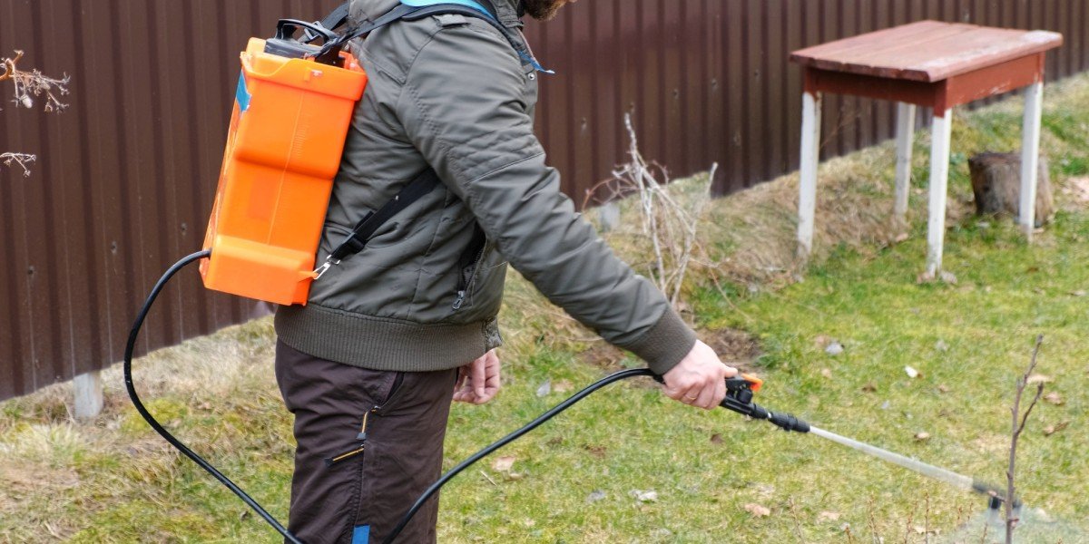 Common Yard Habits That Could Attract Pests