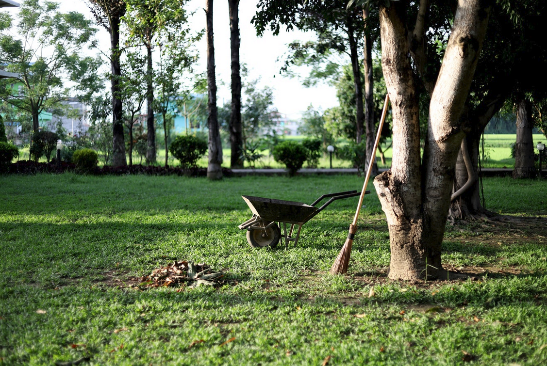 Mulch