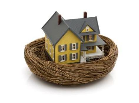 Empty Nest