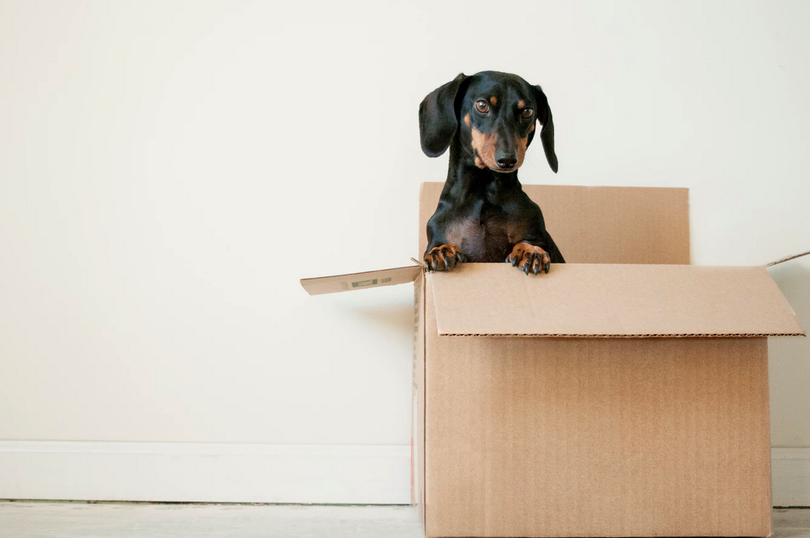 Guest Post - Best Moving Tips: Prepare Your Family For Your First Move