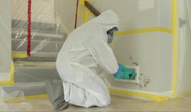 Post Mold Remediation Cleaning