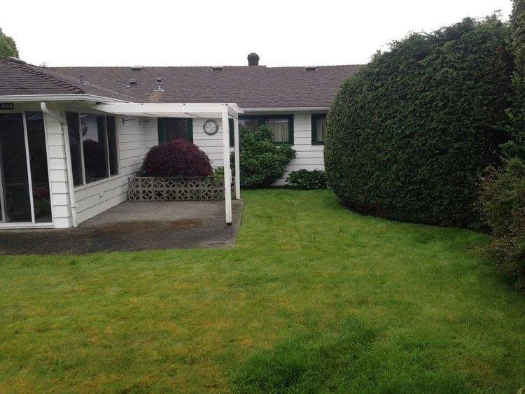 Guest Post - Simple Backyard Improvement Ideas