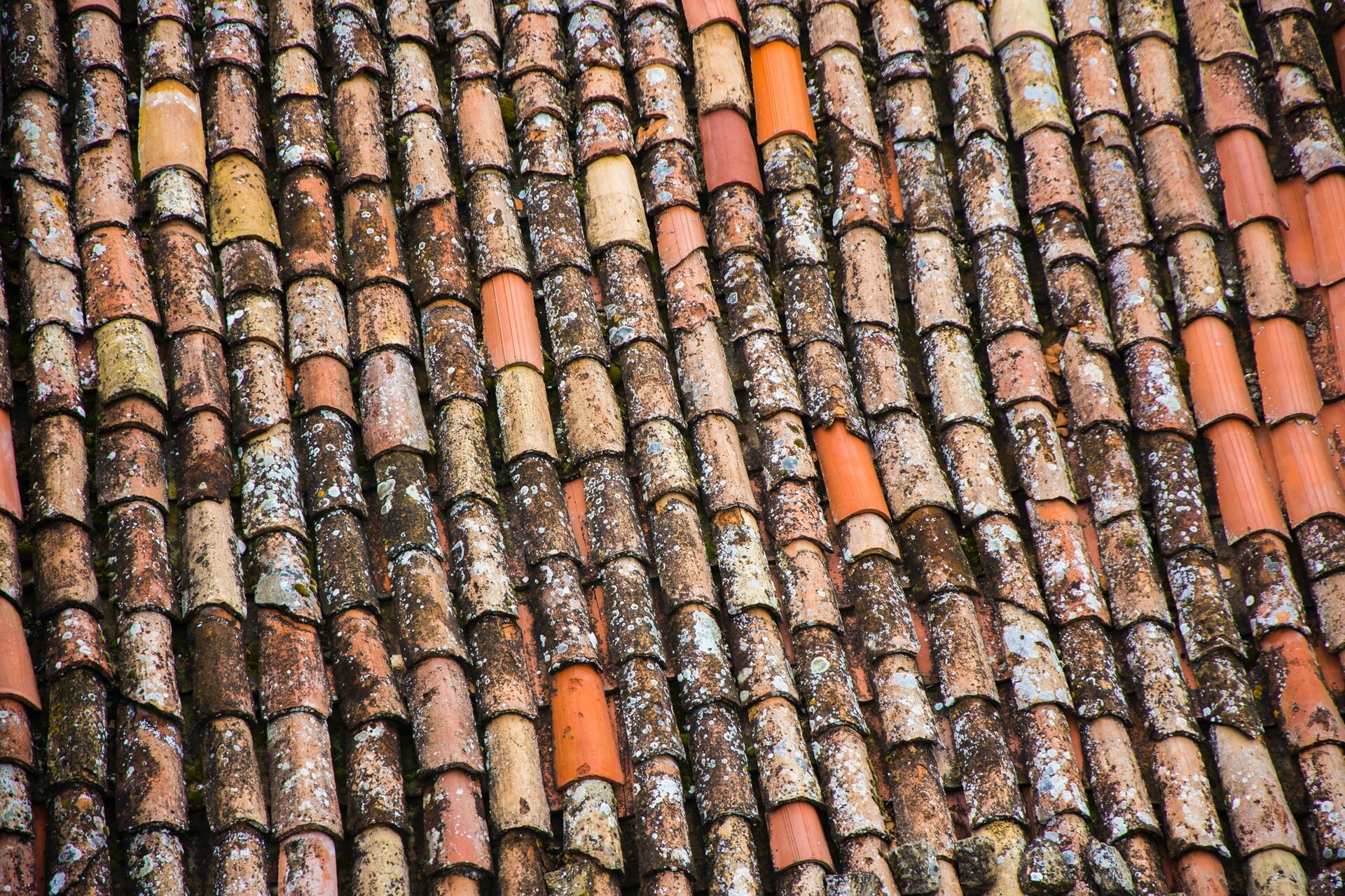 North Augusta Residential Roof Repair