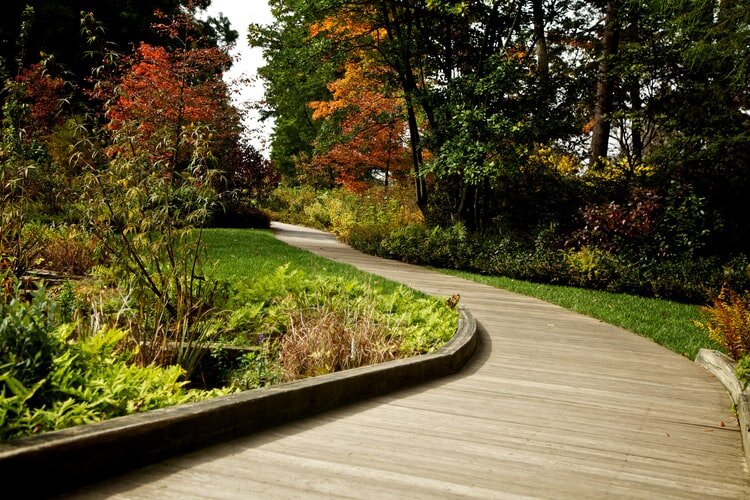 Understanding the Basic Principles of Landscape Design
