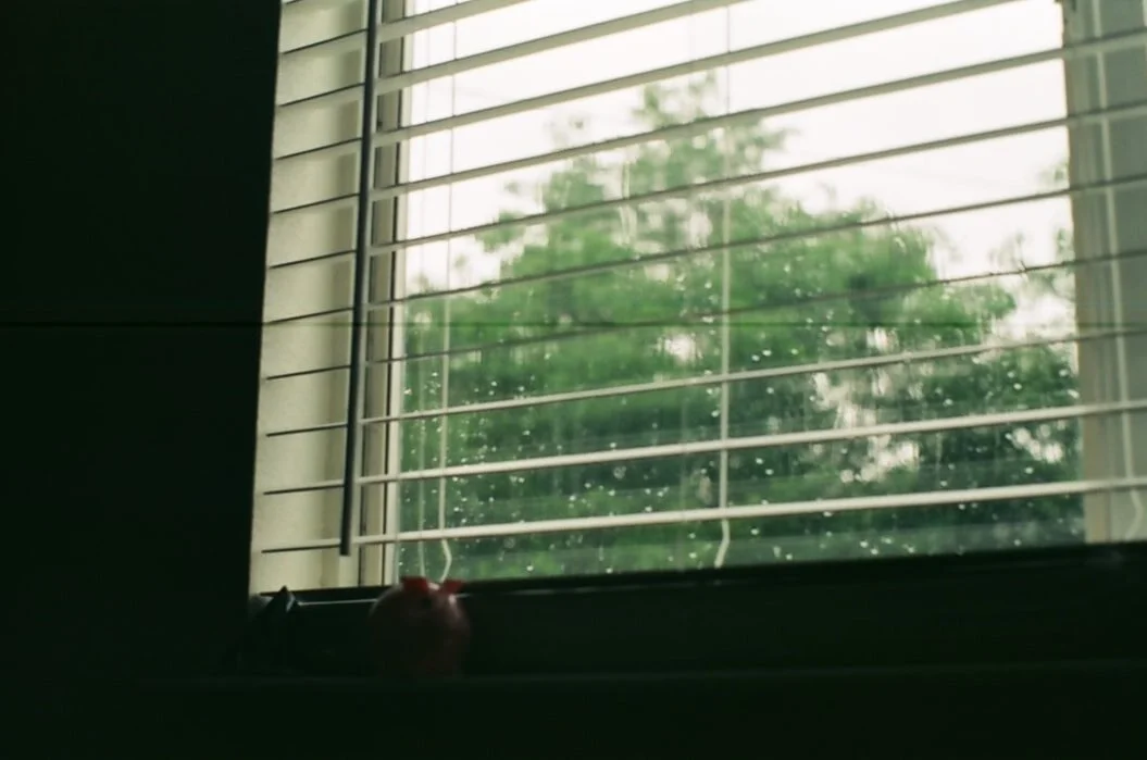 How to Protect Your Property From Incoming Storms.jpg