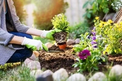 What You Need To Start Your Own Home Garden