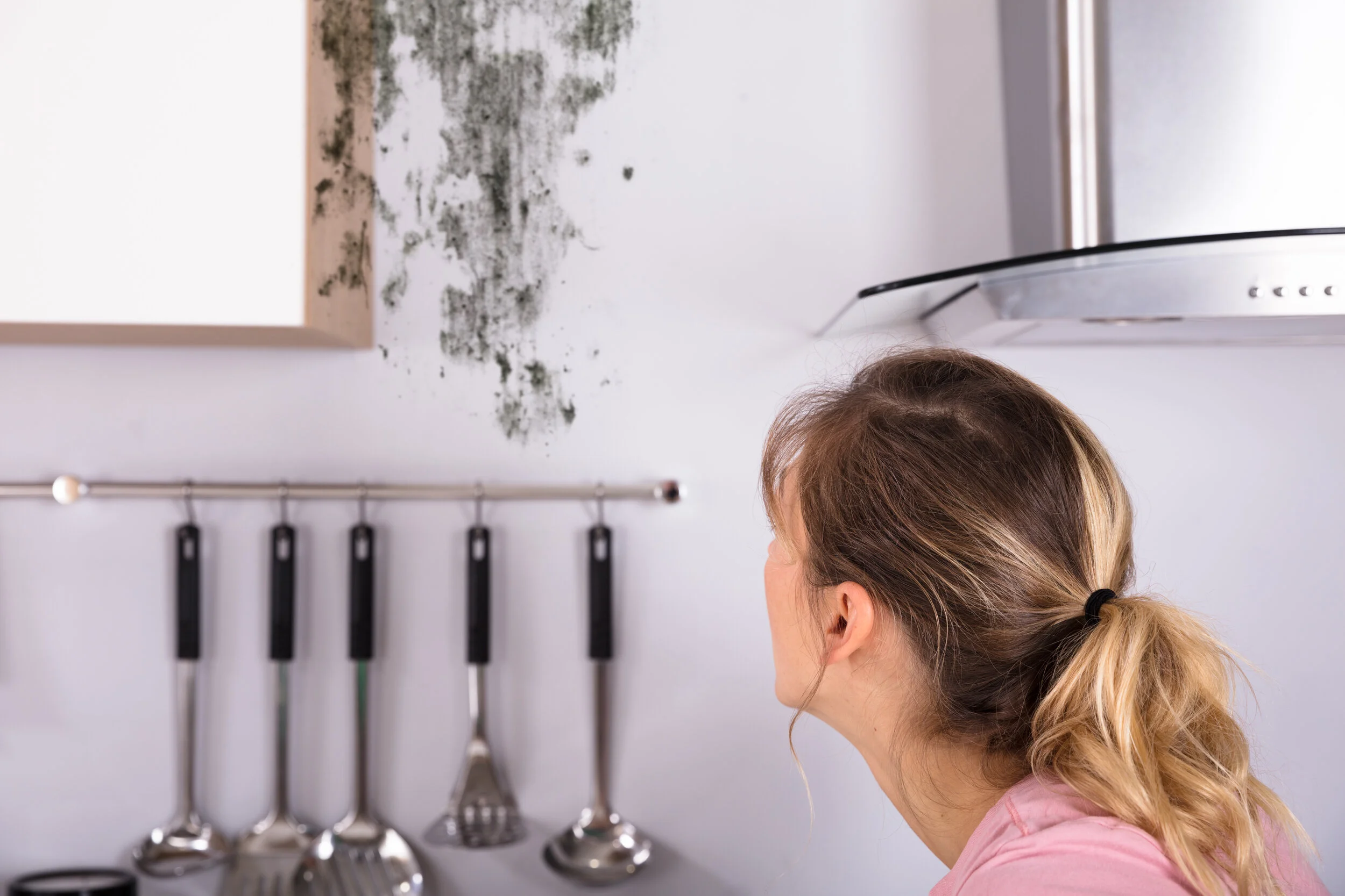 Signs of Mold or Water Damage in Your Kitchen