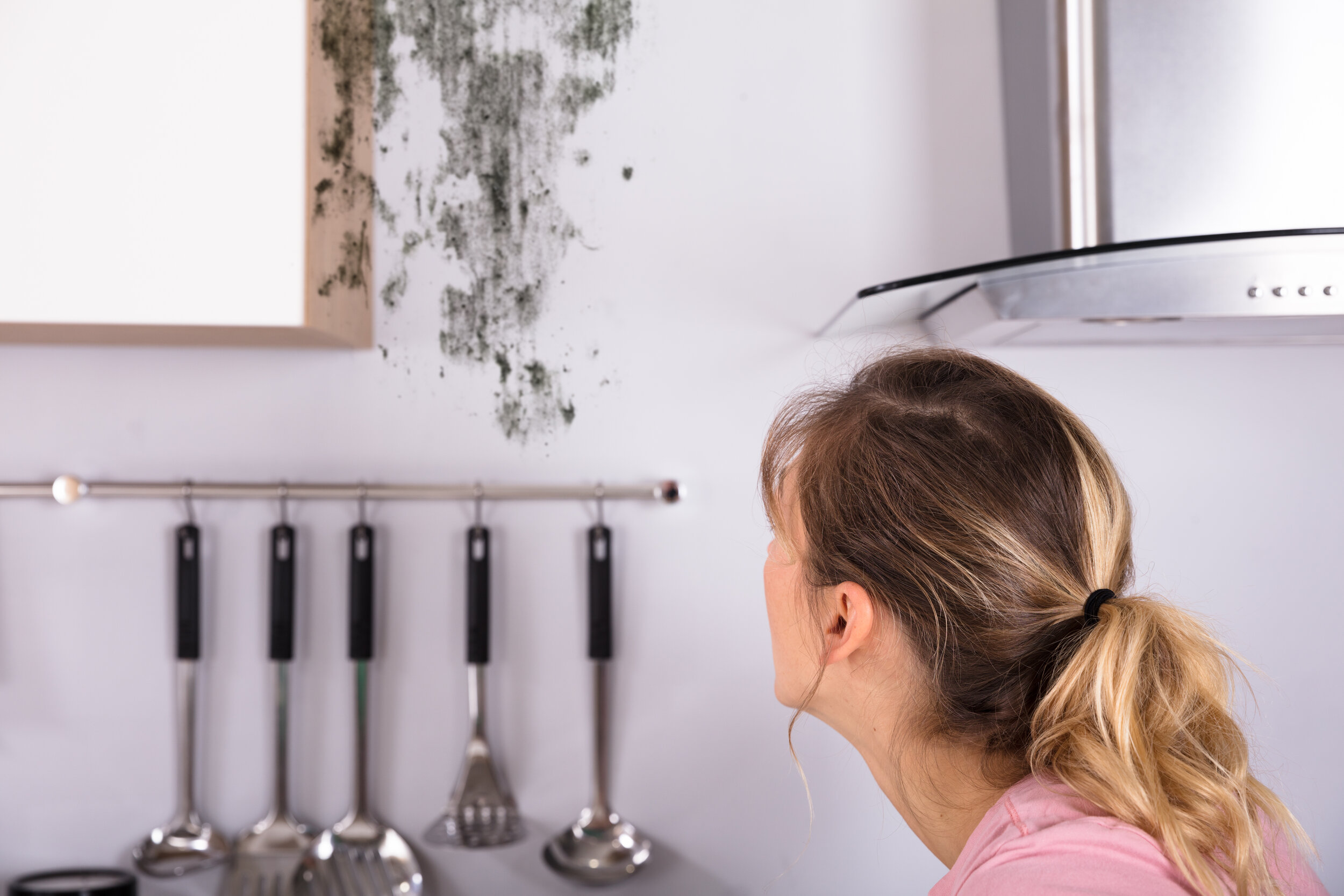 Signs of Mold or Water Damage in Your Kitchen.jpeg