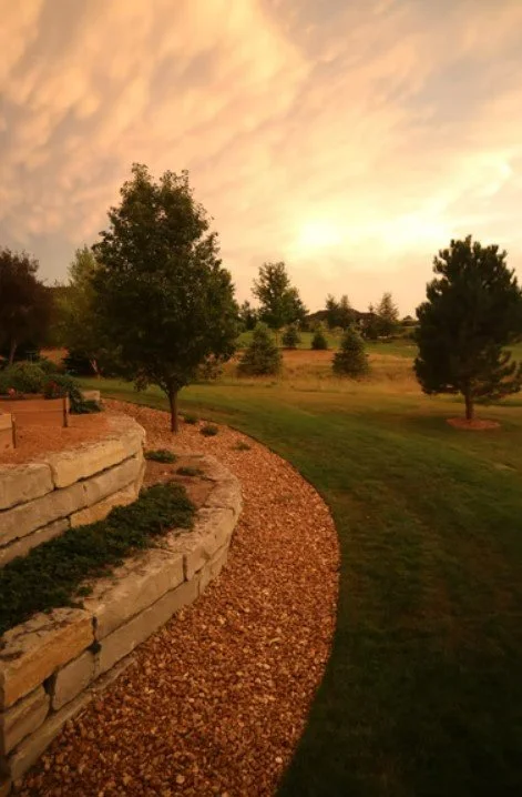 Tips to Help Spruce Up Your Backyard