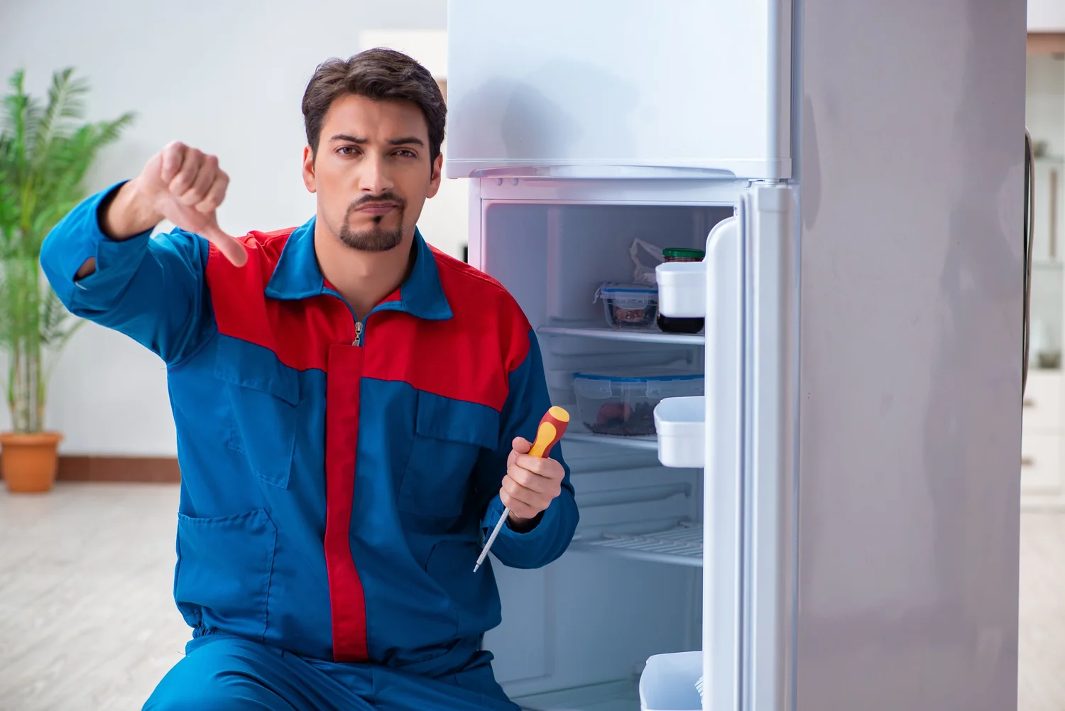 Signs That Your Refrigerator Is in Fact Not Running House to Home
