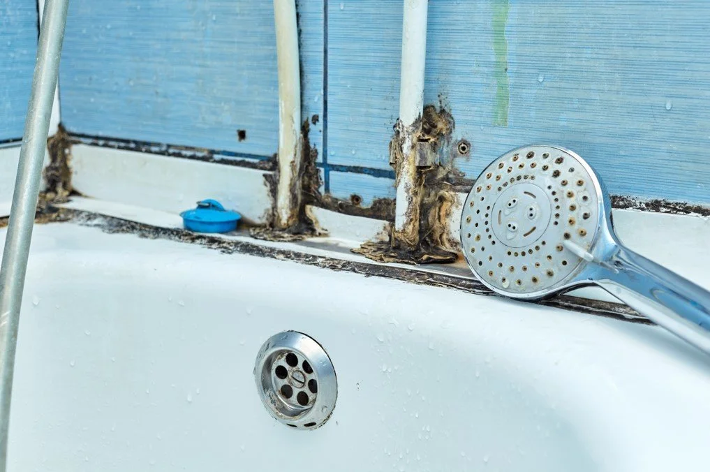 How to Remove Serious Mold From the Bathroom of a Hoarder's House