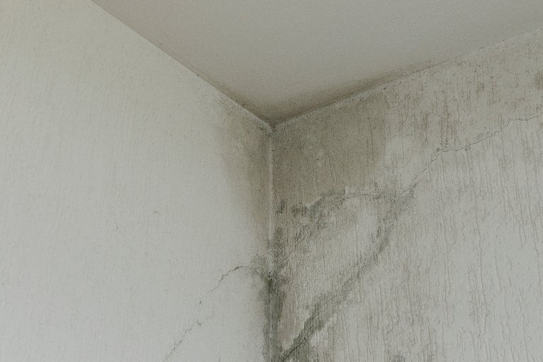 A Comprehensive Guide to Identifying and Dealing with Water Damage at Home