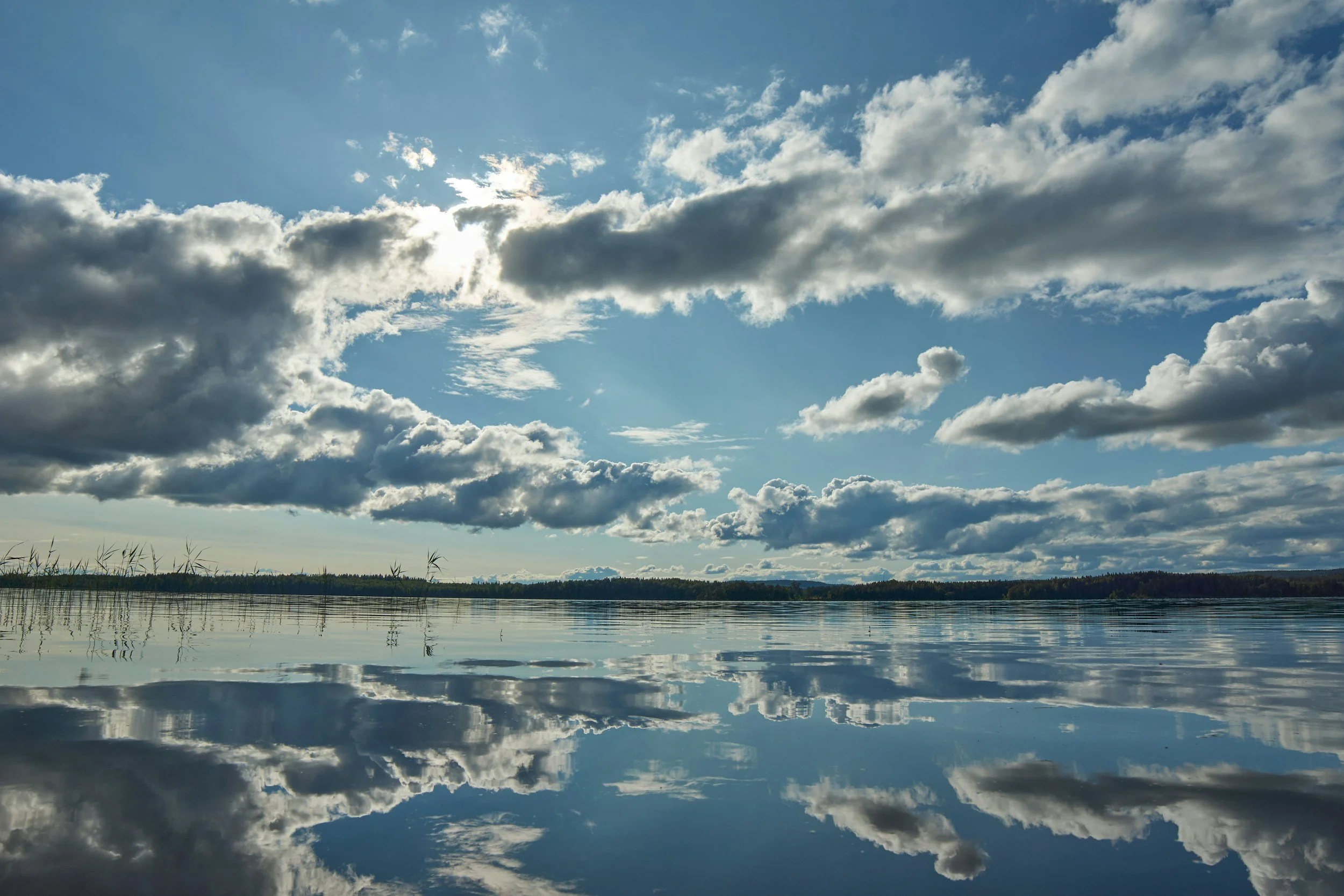 Seasonal Maintenance Tips for Fixed Windows: Preparing for Weather Changes