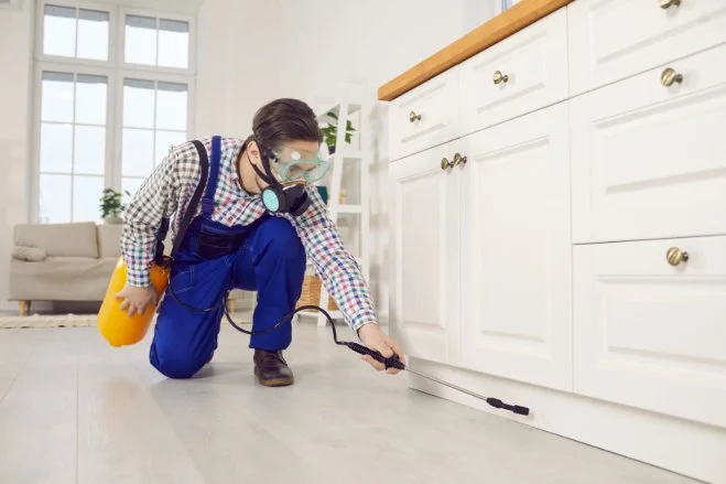 7 Warning Signs You Need Professional Pest Control Now
