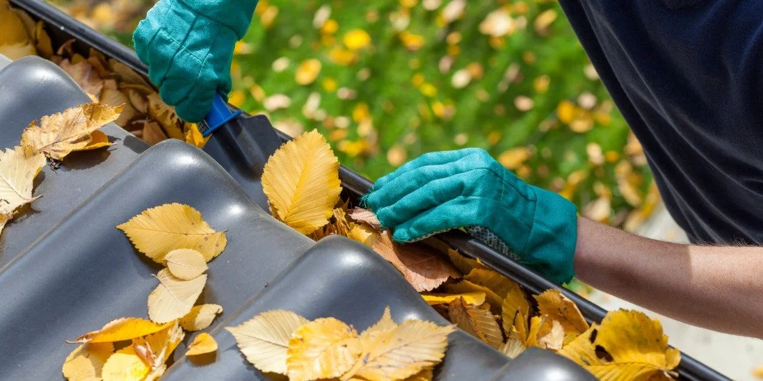 A Quick Guide to the Most Common Roof Problems