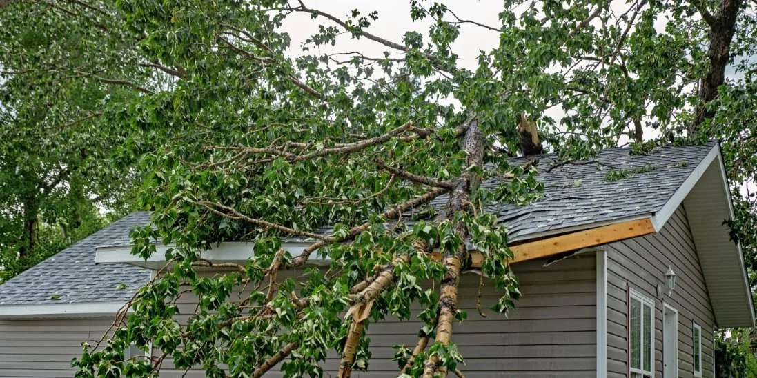 Areas Homeowners Should Check After Severe Weather