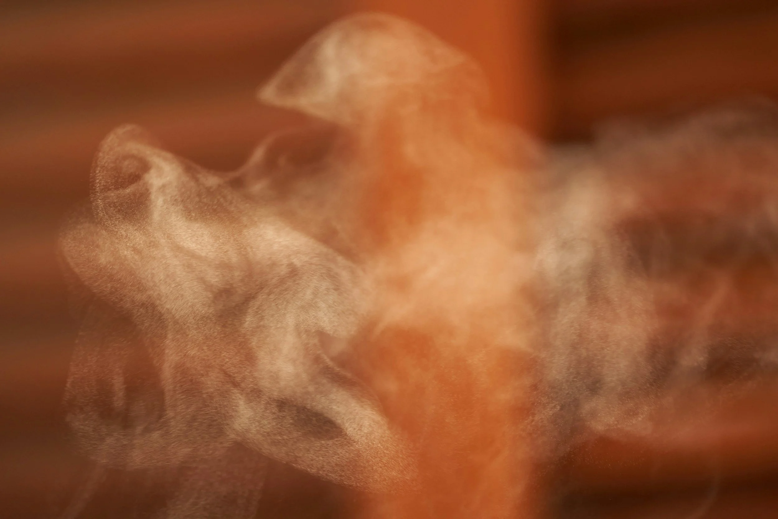 WHAT TO DO IF YOU SMELL GAS NEAR YOUR FURNACE: A STEP-BY-STEP SAFETY GUIDE