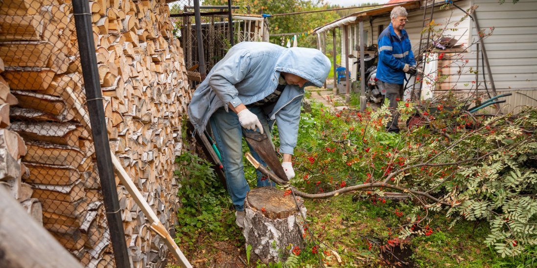 Two people working with cut tree branches in a grassy yard beside stacked firewood and a white building.