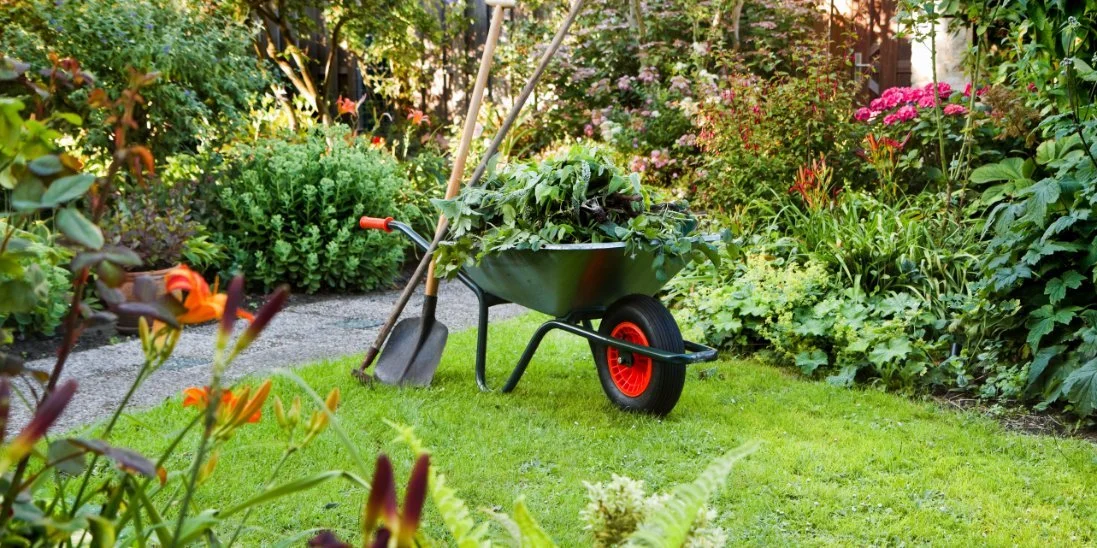 A green wheelbarrow sits in the yard with a shovel and a rake leaning on it. The wheelbarrow is full of rubbish.