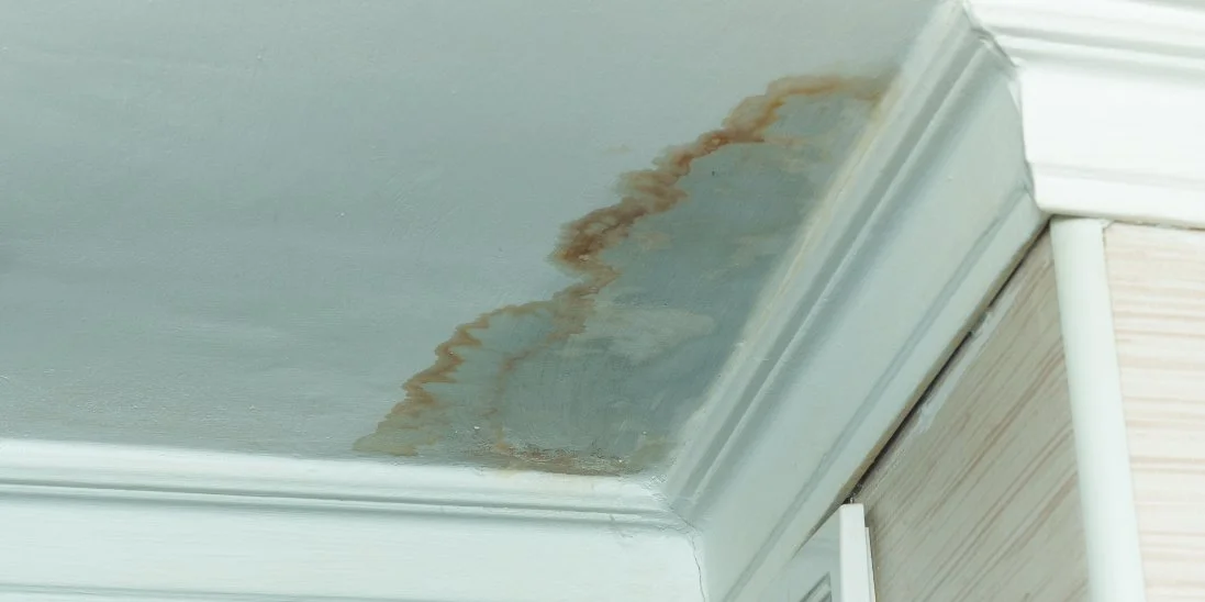 Why Small Household Leaks Can Become Major Problems