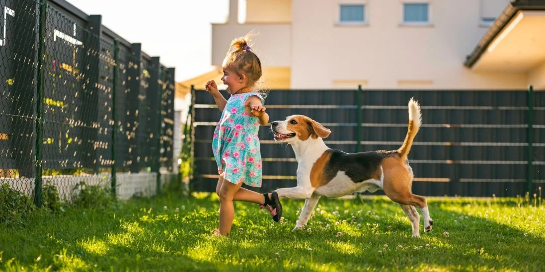 What To Do With a Backyard That Feels Unusable
