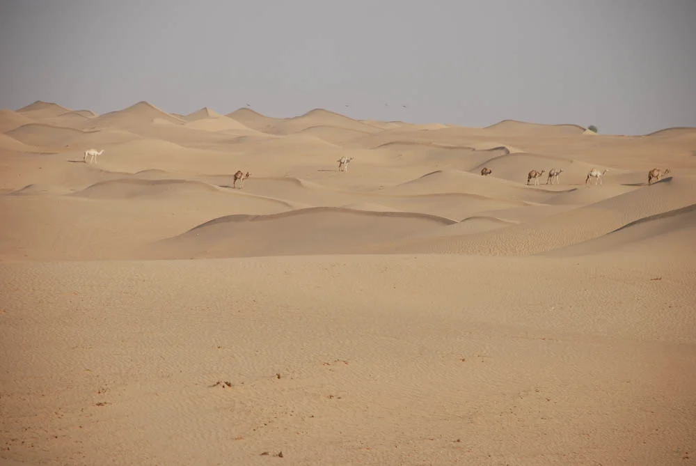 Dubai 073.jpg