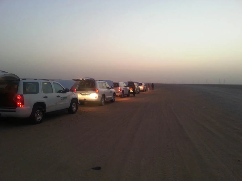 WP_20131102_204.jpg
