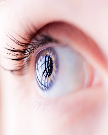 In2Events Blog-Sight.jpg
