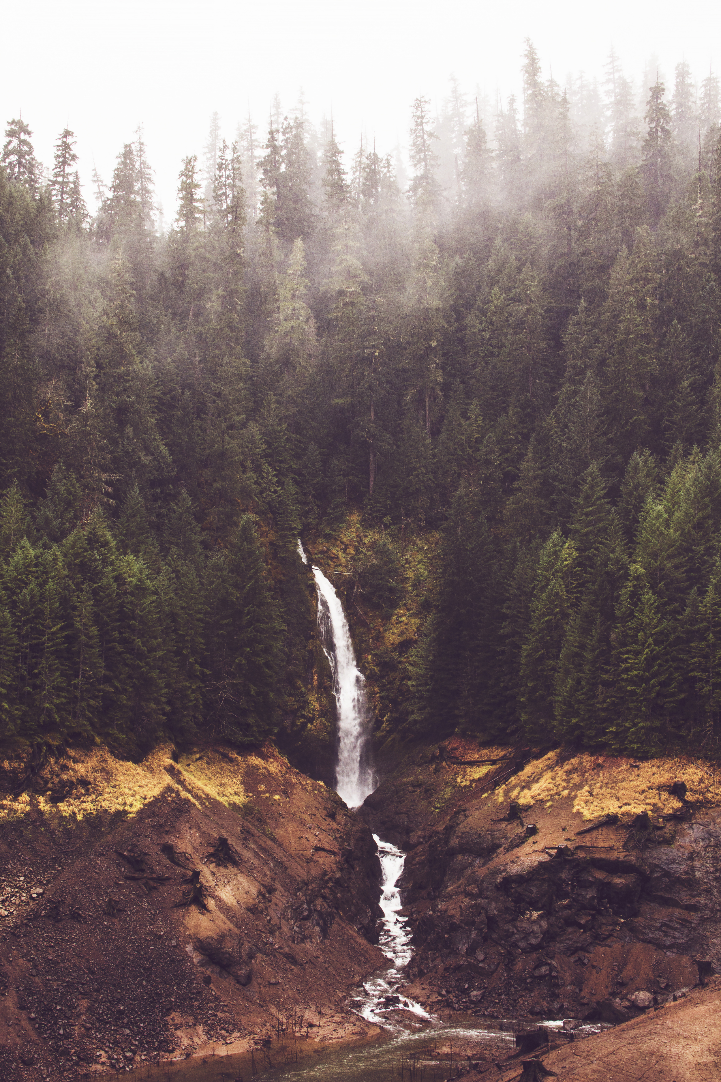 Cougar Falls, OR