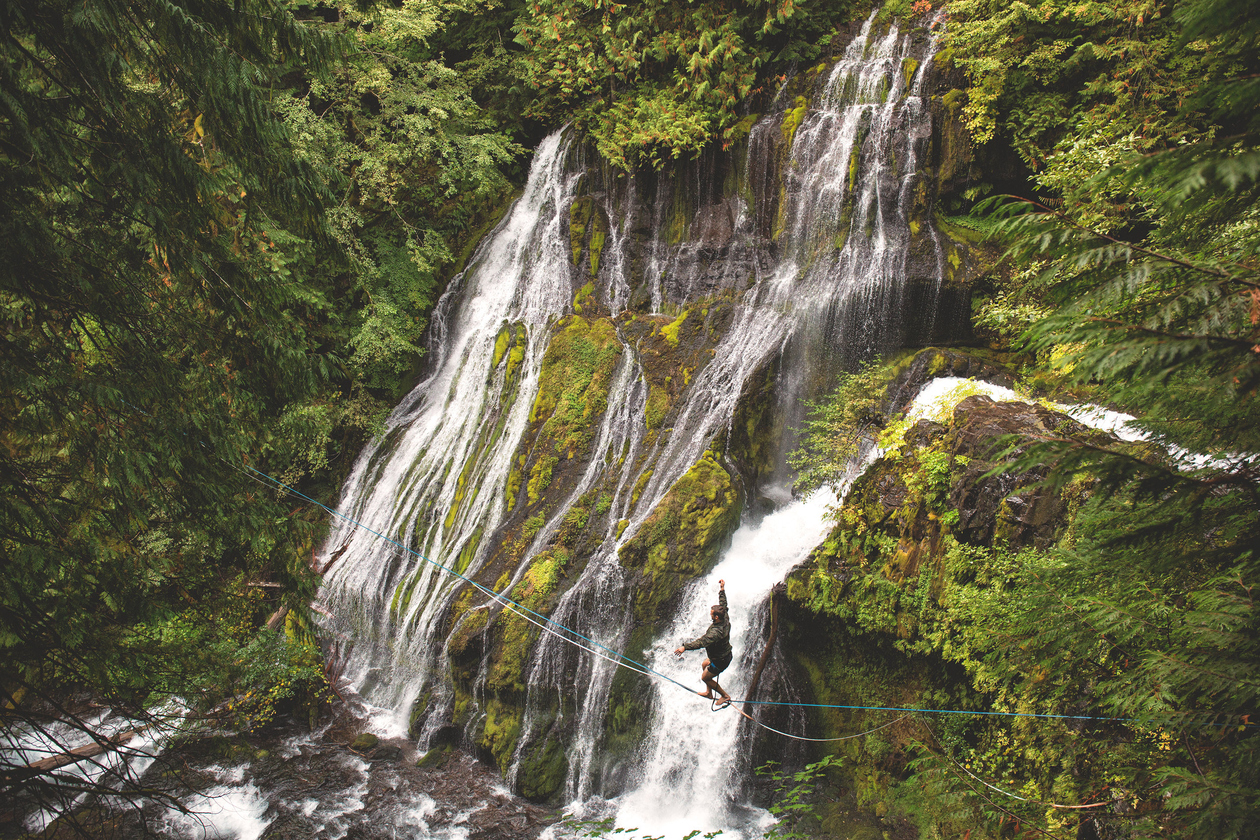 Gilford Pinchot, WA